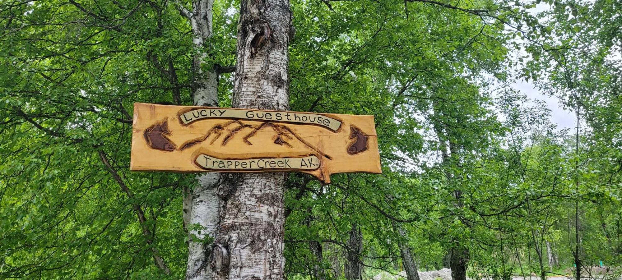 Lucky Guesthouse Trapper Creek Εξωτερικό φωτογραφία